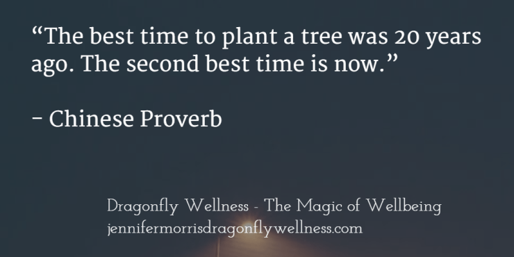 The best time to plant a tree