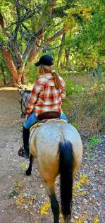 Buck in the Bosque Fall